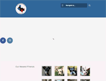 Tablet Screenshot of msrnt.com